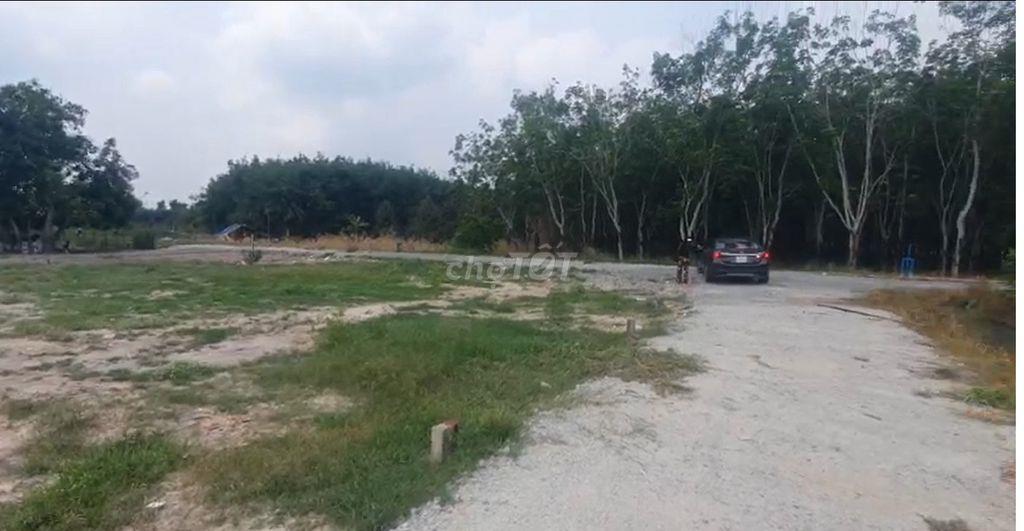 Gia đình tôi có miếng đất Lộc Ninh cần bán nhanh - Giá 339tr (có TL)