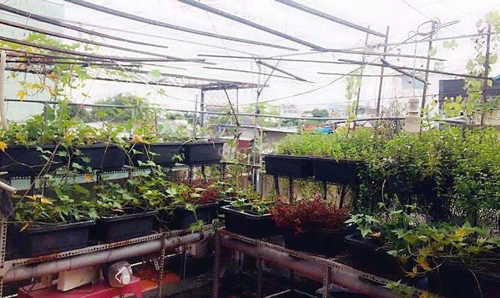 GẦN CỤM TRƯỜNG TÂY THẠNH - SƠN KỲ - ĐH CÔNG THƯƠNG - KCN TÂN BÌNH
