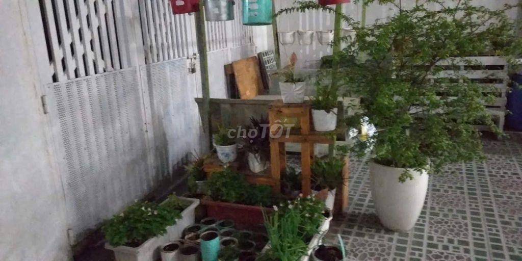 Chính chủ cho thuê nhà 6 x 22m gần trường học, bx miền tây. aeon mall.
