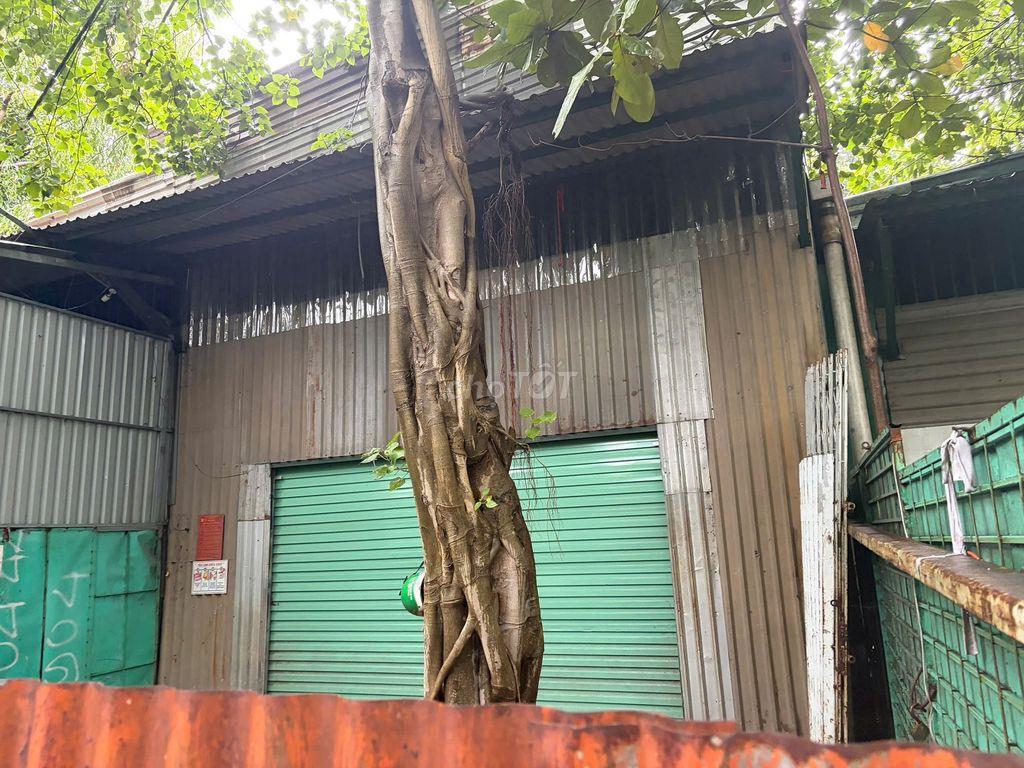 Cho thuê nhà xưởng có điện 3 pha