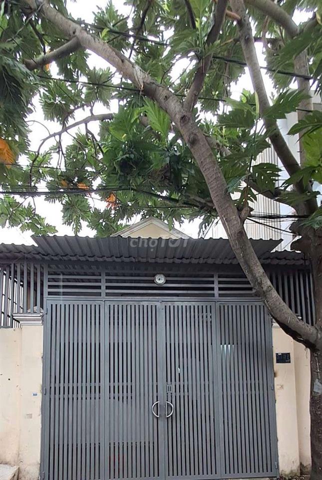 CHO THUÊ NHÀ GIÁ RẺ HẺM OTTO 