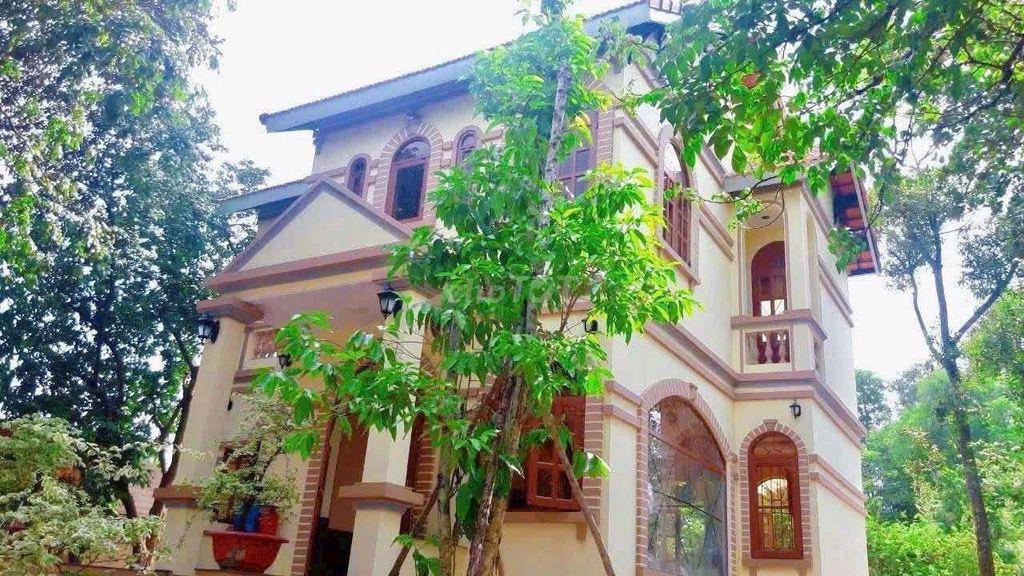 CHO THUÊ BIỆT THỰ 1000M² FUN NỘI THẤT GIÁ 12TR 