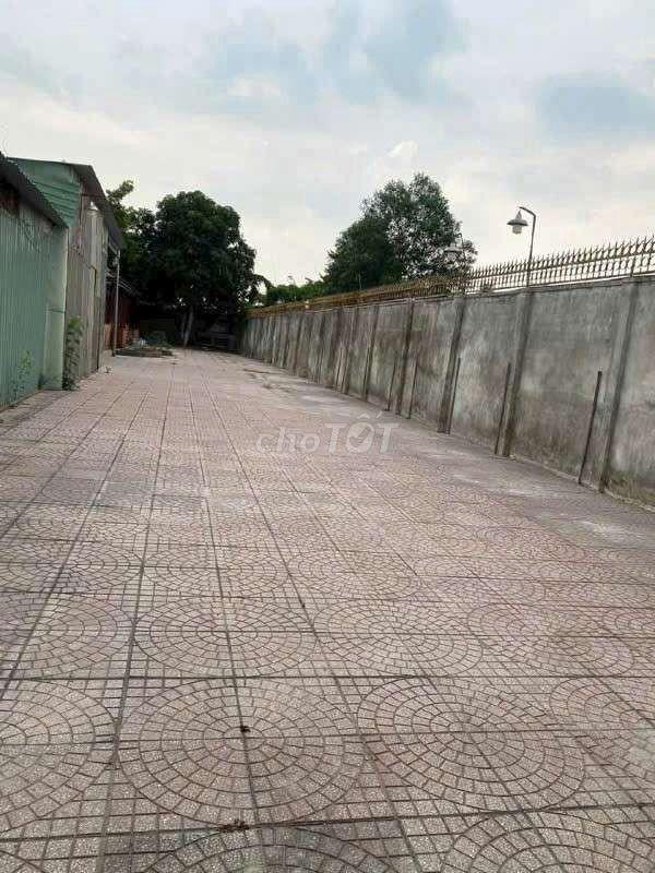 CHO THUÊ BIÊT THỰ 1200M² GIÁ 10TRIUE 