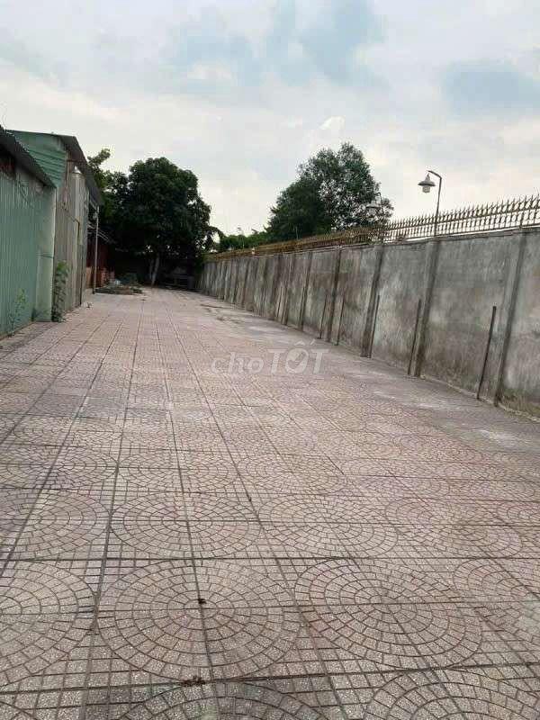 CHO THUÊ BIÊT THỰ 1200M² GIÁ 10TRIUE 