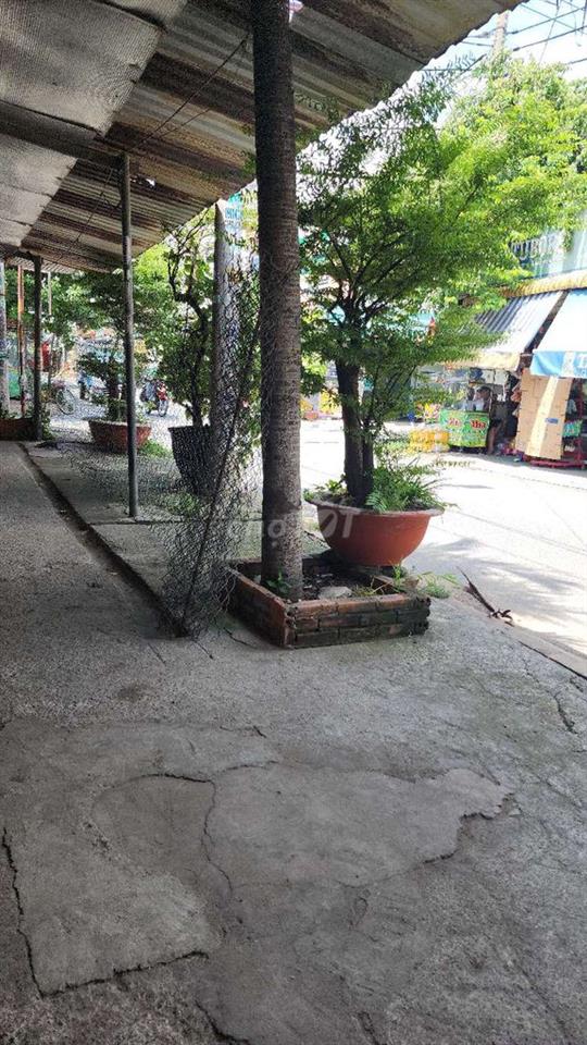 219/36 đường số 5 phường bình hưng hòa, tp.hcm
