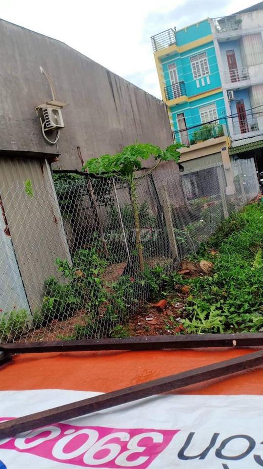 Đất lúa hẻm Lê đình cẩn Bình Tân
