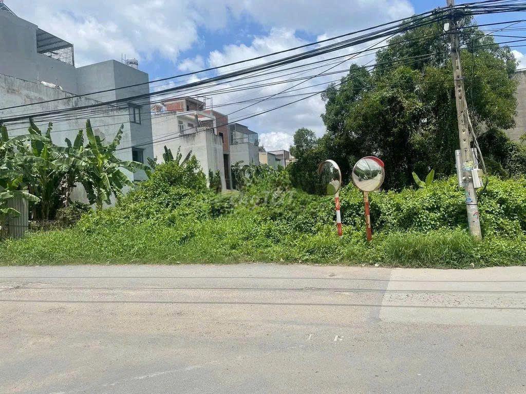 Cho Thuê Đất Trống 20x50 1000 m2 Tại Nguyễn Thị Tư, Phú Hữu, Quận 9