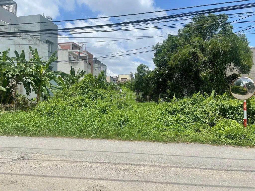 Cho Thuê Đất Trống 20x50 1000 m2 Tại Nguyễn Thị Tư, Phú Hữu, Quận 9