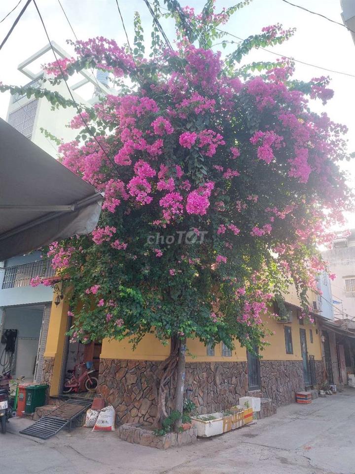 cho thuê phòng riêng có 1 lầu