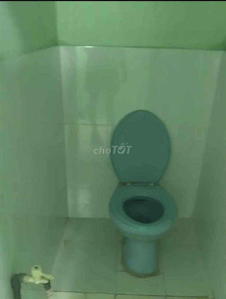 phòng 12m2, kg gác, wc riêng, giờ tự do, mới sơn ốp.