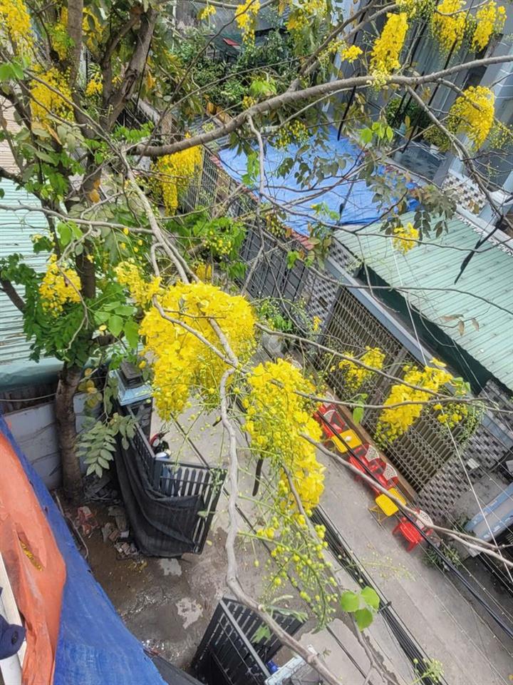 BÁN NHÀ 12 PHÒNG CHO THUÊ – TN.SAU CHI PHÍ 45 TRIỆU/THÁNG – GIÁ 7,8 TỶ