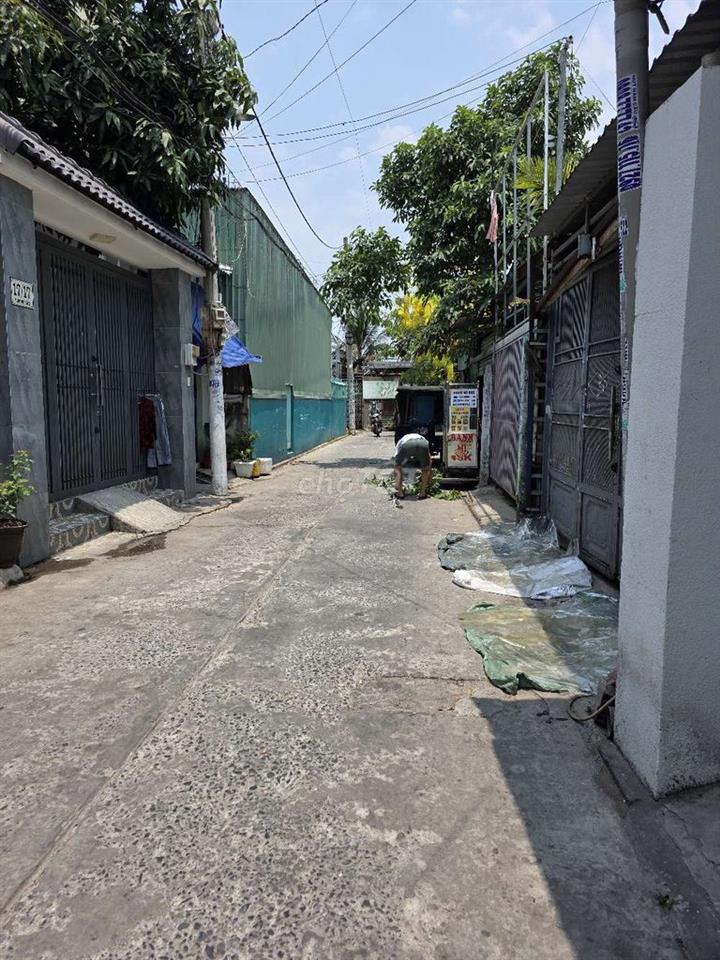 cho thuê căn hô 