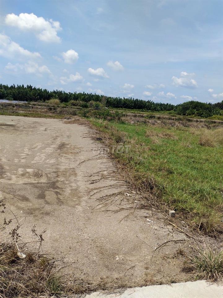 Giá ngộp bán gấp 3,9tỷ/1100m2 mặt tiền Cá Súc, Bình Khánh, Cần Giờ