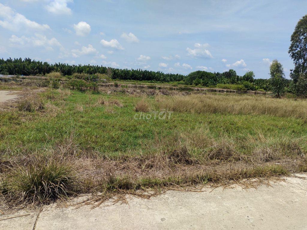 Giá ngộp bán gấp 3,9tỷ/1100m2 mặt tiền Cá Súc, Bình Khánh, Cần Giờ