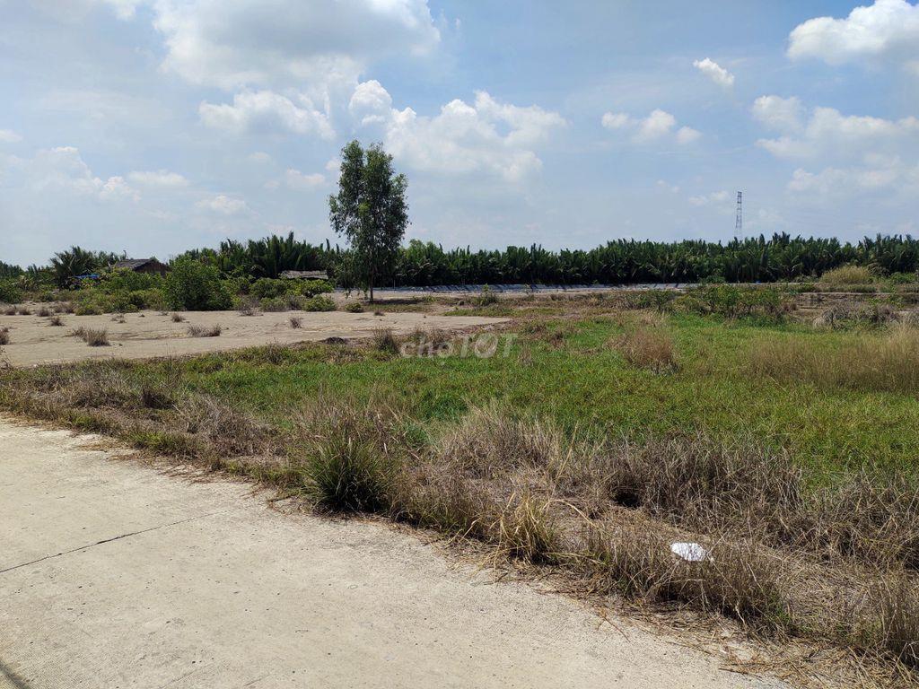 Giá ngộp bán gấp 3,9tỷ/1100m2 mặt tiền Cá Súc, Bình Khánh, Cần Giờ