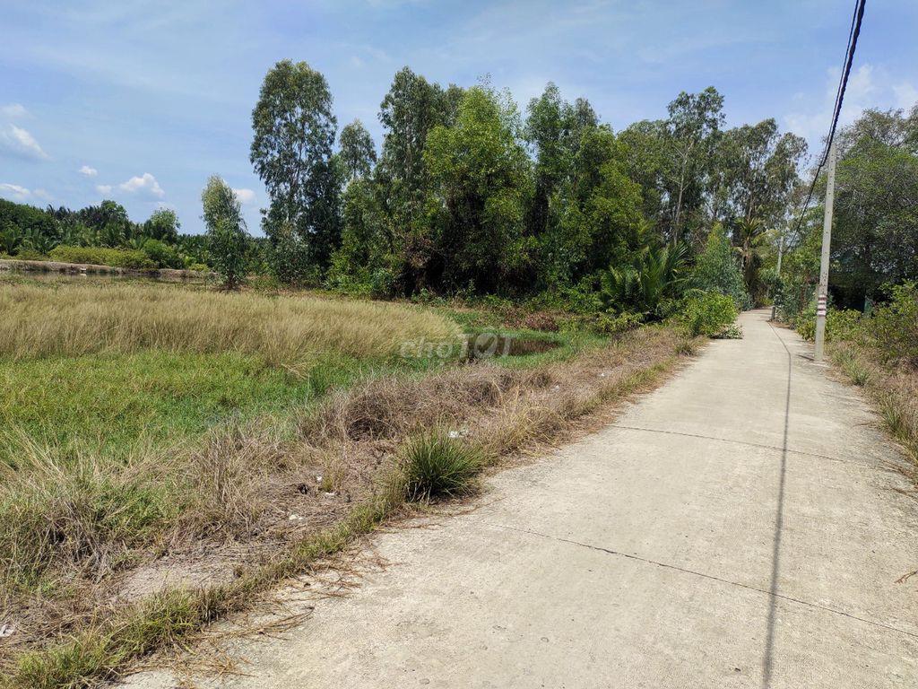 Giá ngộp bán gấp 3,9tỷ/1100m2 mặt tiền Cá Súc, Bình Khánh, Cần Giờ