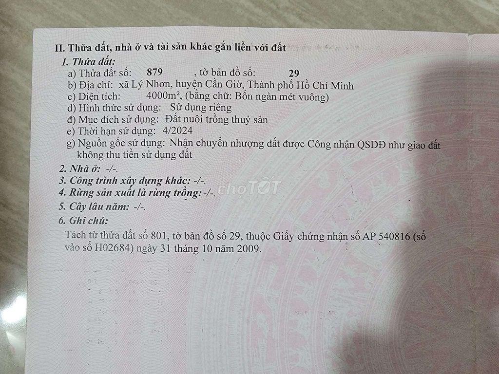 Bán đất Lý Nhơn - Cần Giờ (ngay khu nhà yến cầu Vàm Sát)