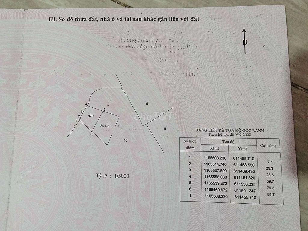 Bán đất Lý Nhơn - Cần Giờ (ngay khu nhà yến cầu Vàm Sát)