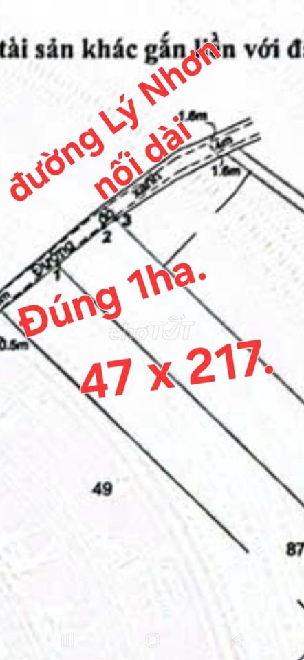 Bán 1 ha đất MT đường 5m, Lý Nhơn nối dài, xã Lý Nhơn Cũ, Cần giờ