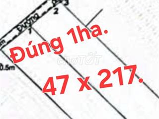 Bán 1 ha đất MT đường 5m, Lý Nhơn nối dài, xã Lý Nhơn Cũ, Cần giờ