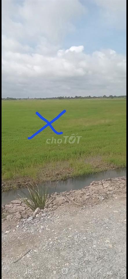 Đất chỉ có 186 nghìn/1m2, 2MT đường nhựa, Thủ Thừa, giáp Bến Lức, LA