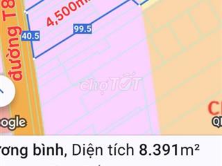 Bán 8.400m2 có 4.500m2 thổ, 2MT đường 830, Lương Bình, Bến Lức, LA