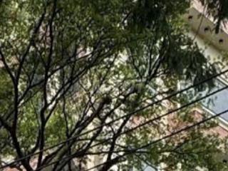 căn góc 2MT, 297m2 đất đường Nguyễn Văn Linh, P Tân Thuận Tây, Q7