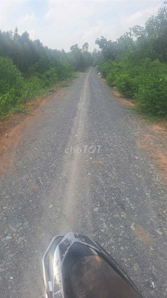 1,7ha đất, có 3.620 thổ, 2MT đường xe tải Bình Thành, Đ Huệ, Long An