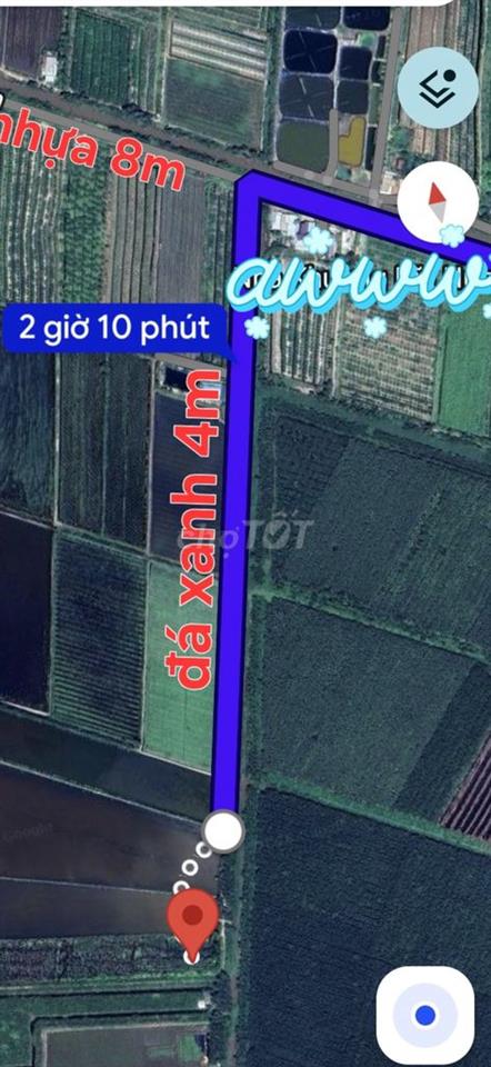 1,7ha đất, có 3.620 thổ, 2MT đường xe tải Bình Thành, Đ Huệ, Long An