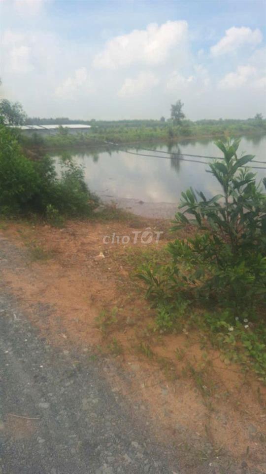 1,7ha đất, có 3.620 thổ, 2MT đường xe tải Bình Thành, Đ Huệ, Long An