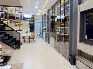 MT 19 đường S4, Cách Phạm Hữu Lầu 50m, Chợ P Long 100m, P Phú Mỹ,Q7