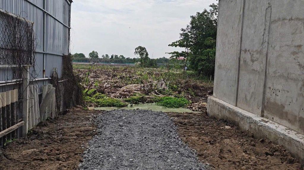 Bán đất cây lâu năm mặt tiền đường Rừng Sác, Cần Giờ