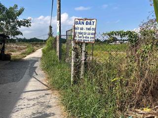 bán đất hàng năm tại bình khánh cần gio