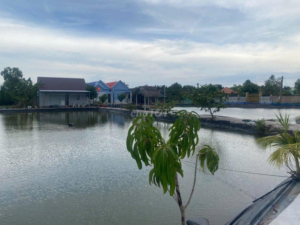 Đất nghỉ dưỡng giá rẻ HXH, làm vườn ao chồi xã bình khánh, cần giờ.