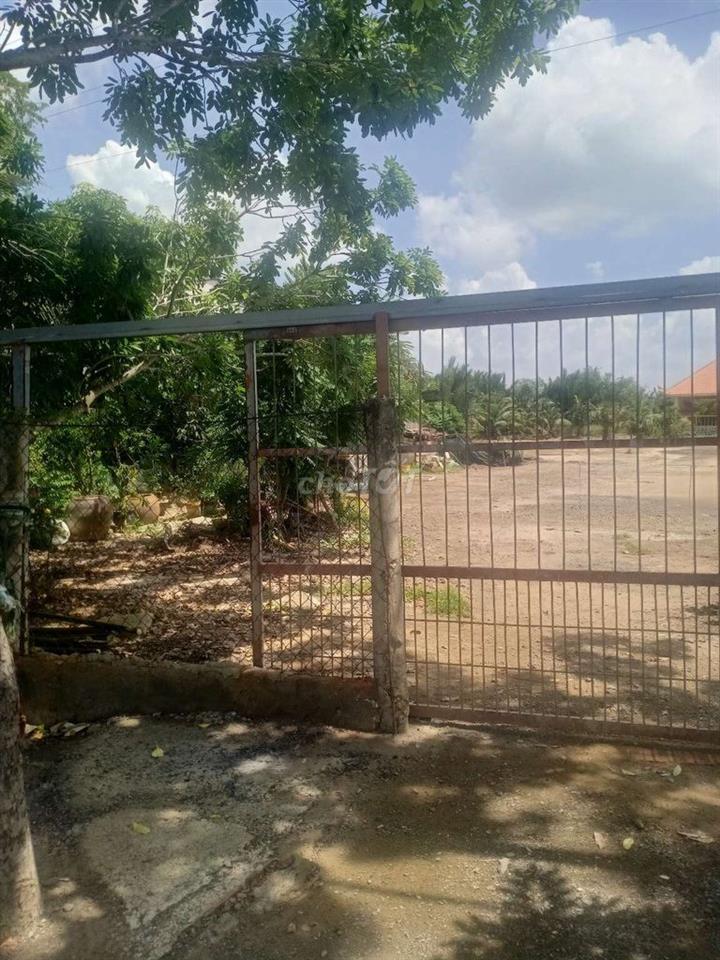 Cho thuê đất nền mặt tiền tại xã Bình Khánh diện tích rộng