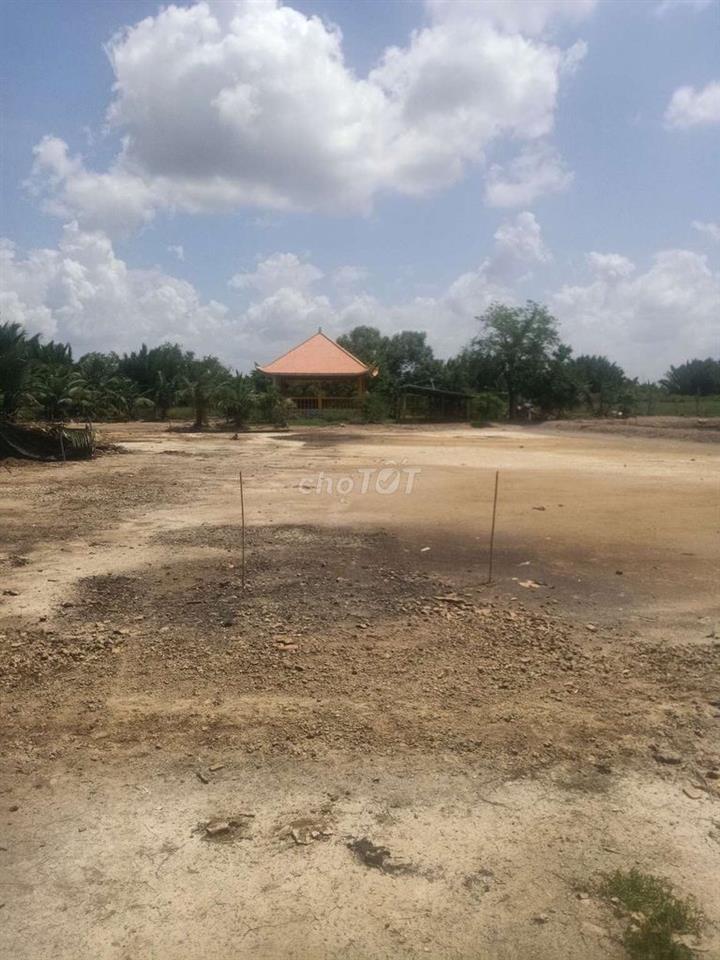 Cho thuê đất nền mặt tiền tại xã Bình Khánh diện tích rộng