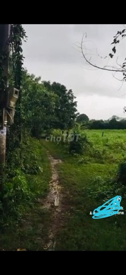 Bán nhanh gần 4500m đất đẹp.Dân cư đông.quá lớn rẻ