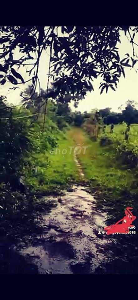 Bán nhanh gần 4500m đất đẹp.Dân cư đông.quá lớn rẻ
