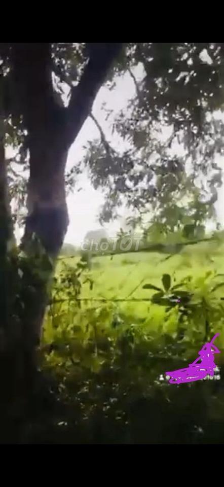 Bán nhanh gần 4500m đất đẹp.Dân cư đông.quá lớn rẻ