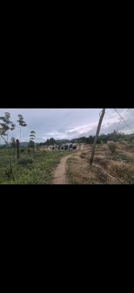 Bán Gấp đất view đẹp có suối,ngay hồ Đạ tẻh.Giá rẻ