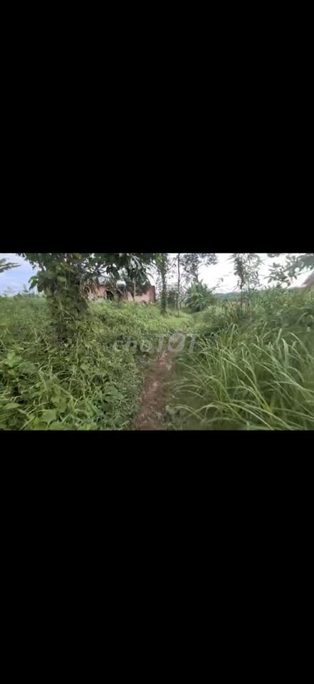 Bán Gấp đất view đẹp có suối,ngay hồ Đạ tẻh.Giá rẻ