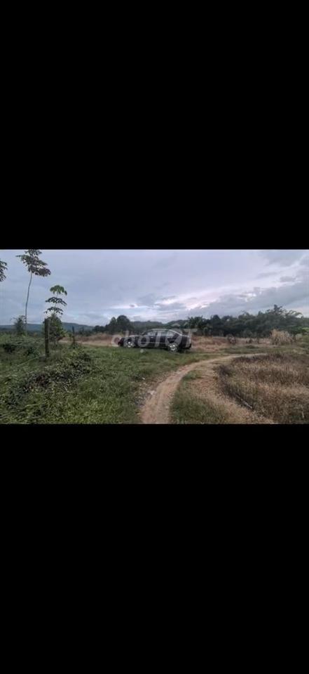Bán Gấp đất view đẹp có suối,ngay hồ Đạ tẻh.Giá rẻ