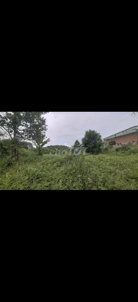 Bán Gấp đất view đẹp có suối,ngay hồ Đạ tẻh.Giá rẻ