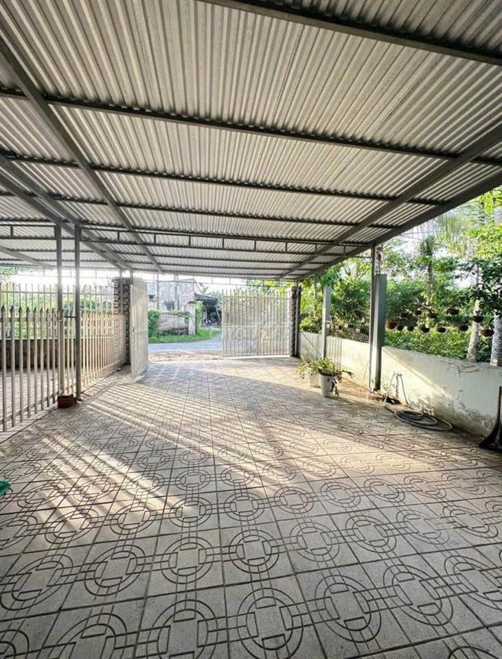 Bán gấp nhà ở Tân Phú Trung, Củ Chi, 116m2 giá 700trieu - Sổ riêng