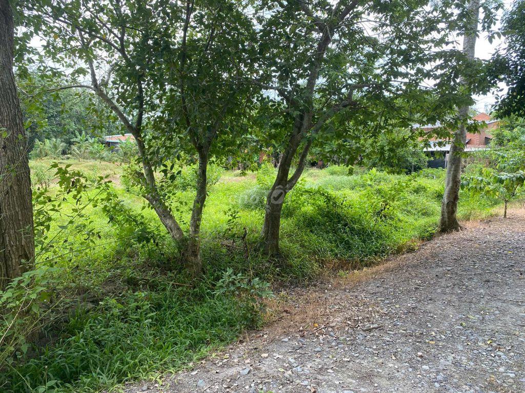 ĐẤT KHU DÂN CƯ. 700K.m2