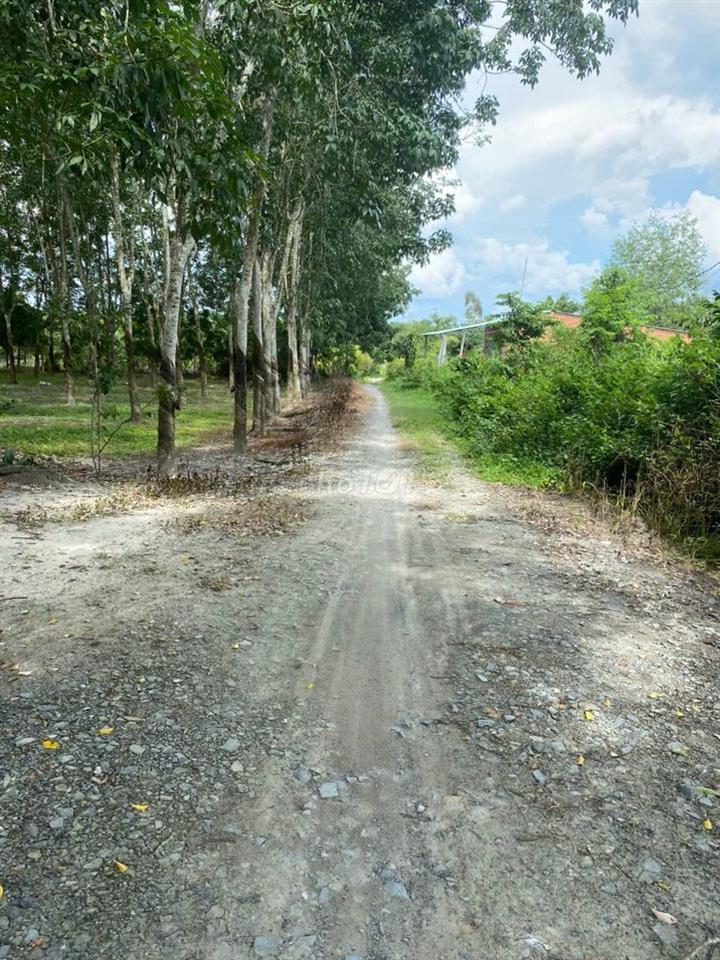 ĐẤT KHU DÂN CƯ. 700K.m2
