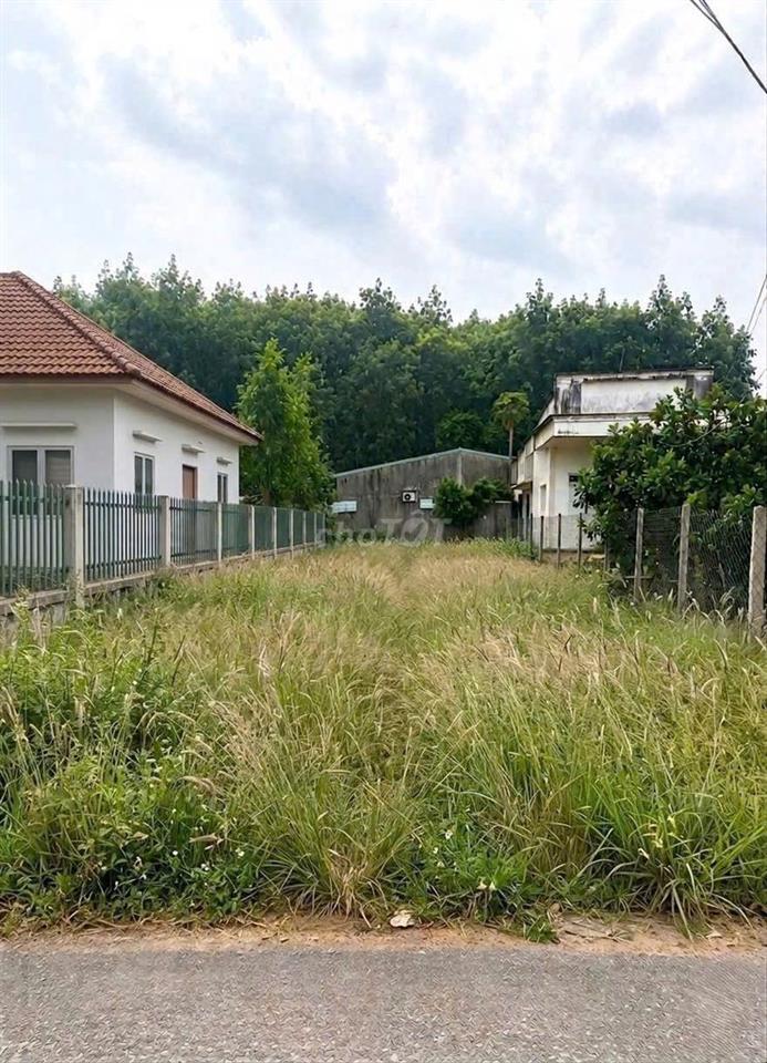 Bán gấp lô đất 186m2 - 1 tỷ250 đường Nguyễn Văn Khạ Tân An Hội Củ Chi