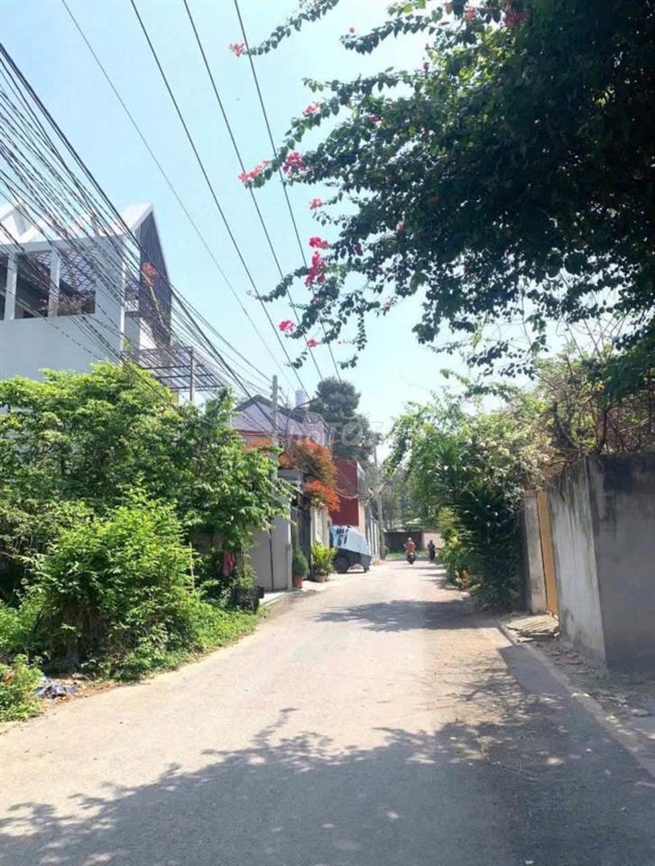 Bán gấp lô đất 186m2 - 1 tỷ250 đường Nguyễn Văn Khạ Tân An Hội Củ Chi