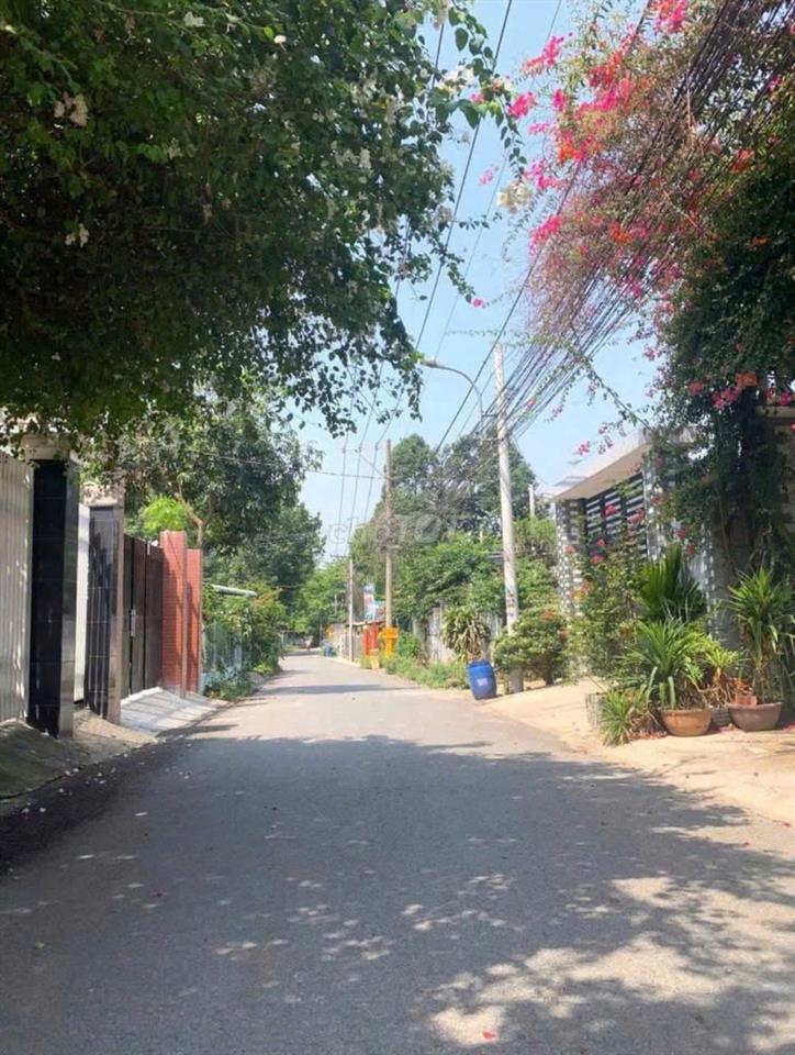 Bán gấp lô đất 186m2 - 1 tỷ250 đường Nguyễn Văn Khạ Tân An Hội Củ Chi