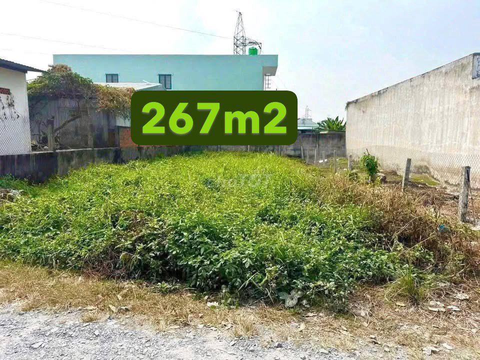 Bán đất 267m2(45m2 thổ) 600 triệu trung tâm trảng Bàng sổ hồng riêng